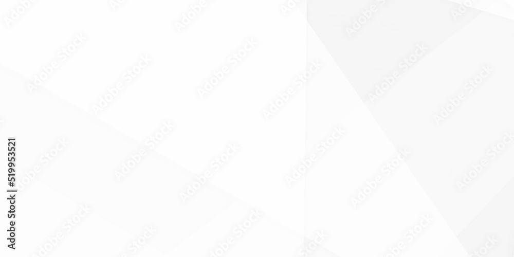 Abstract background with lines, grey white abstract stripe background geometry shine and layer element vector for presentation design. Abstract background with lines, grey white abstract stripe background geometry shine and layer element vector for presentation design.