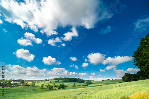 Canvas Print panorama of a green summer field on a sunny day and clouds on blue sky