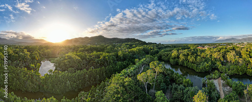Aerial panorama of Cairns Botanical garden at sunset showing the rainforrest