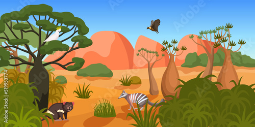 Australian Landscape Illustration
