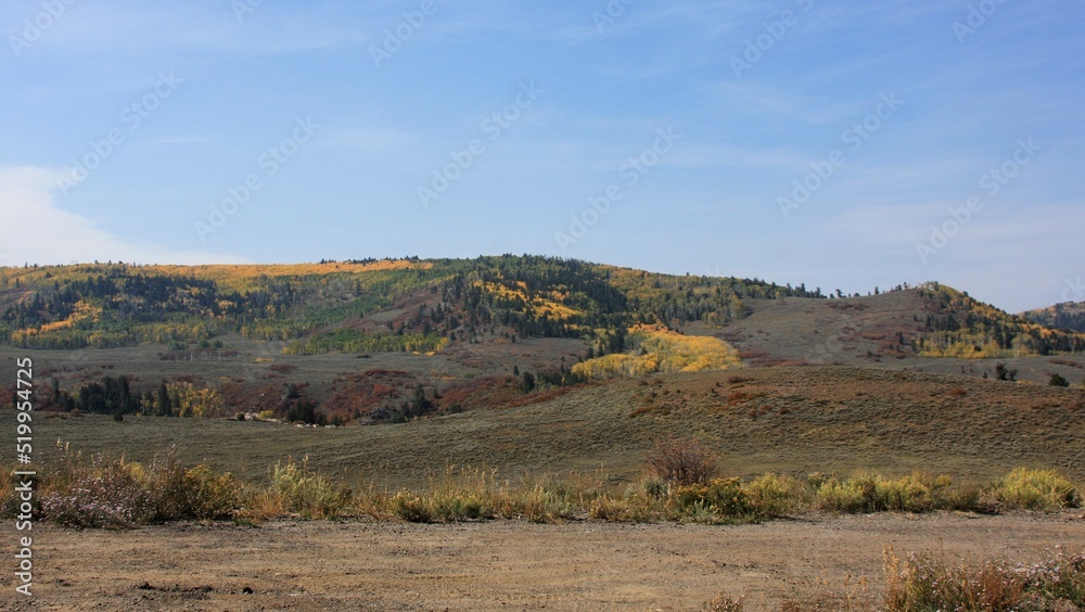 Fall Landscape with Trees and Hills