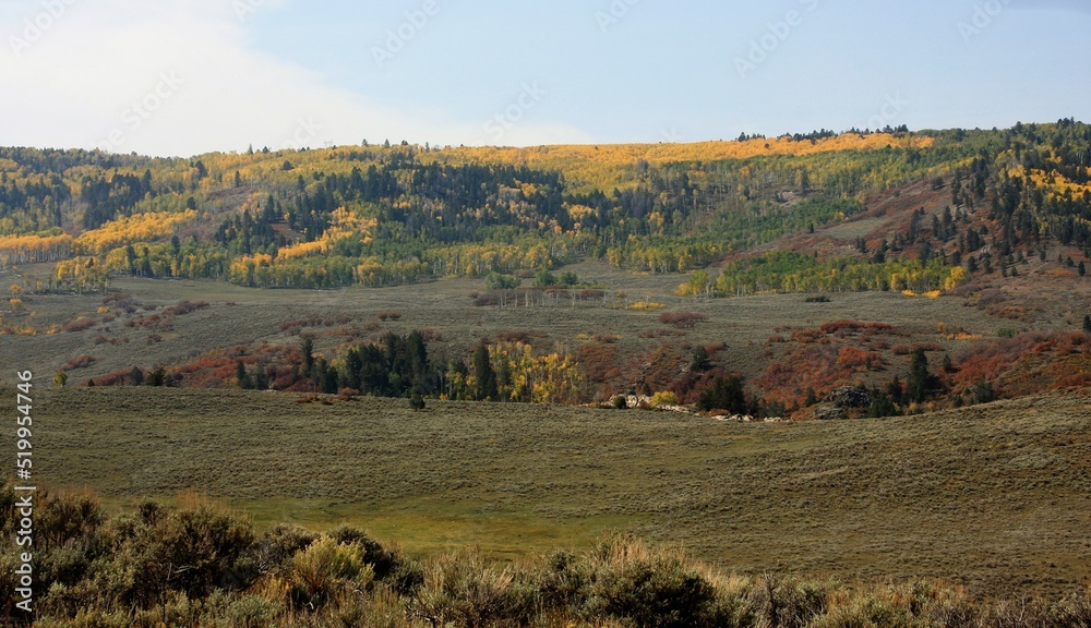 Fall Landscape with Trees and Hills