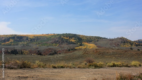 Fall Landscape with Trees and Hills