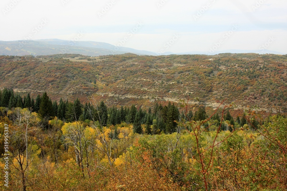Mountain Landscape in the Fall