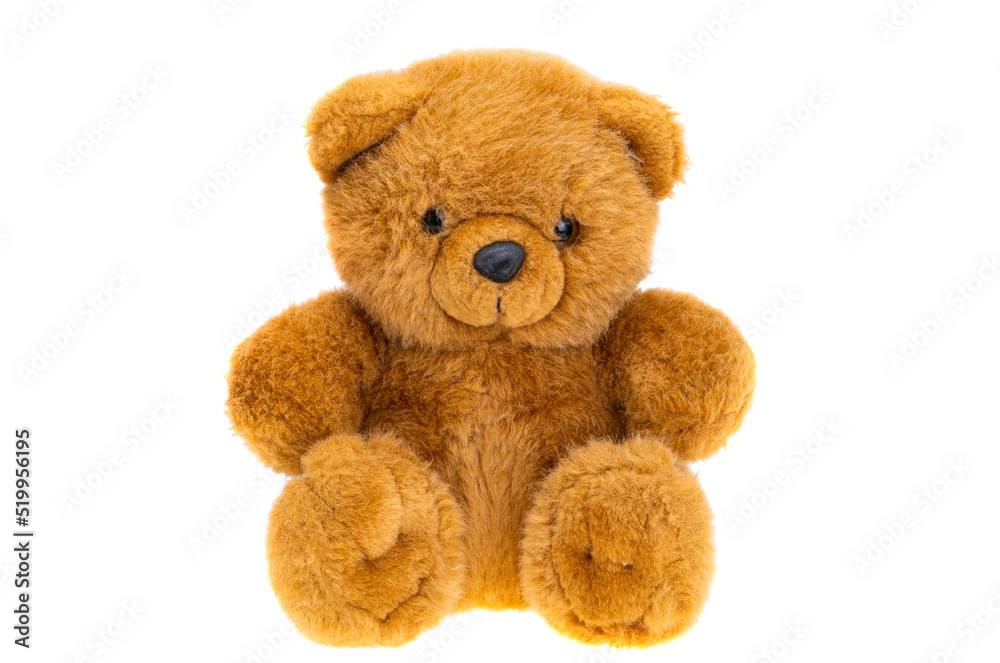 Obraz premium soft toy bear isolated