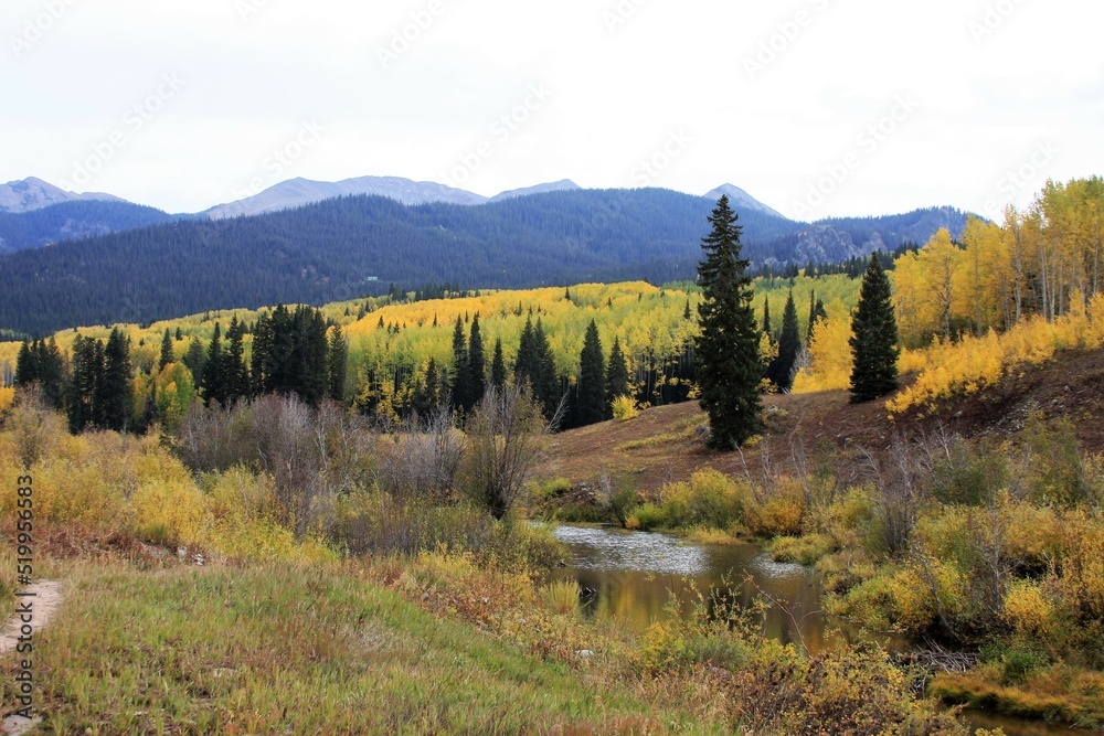 Mountain river landscape in the Fall