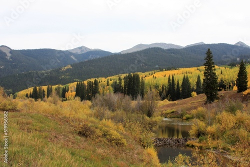 Mountain river landscape in the Fall