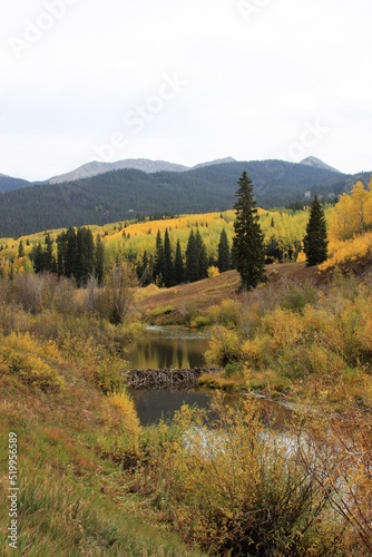 Mountain river landscape in the Fall