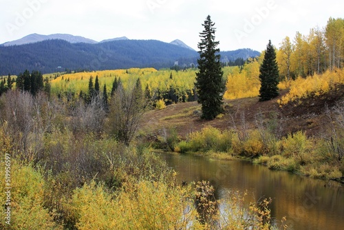 Mountain river landscape in the Fall