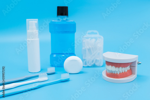 Shot of Oral dental care equipment putting in blue background. Tooth structure model and toothbrush put on table, Oral care health concept. photo