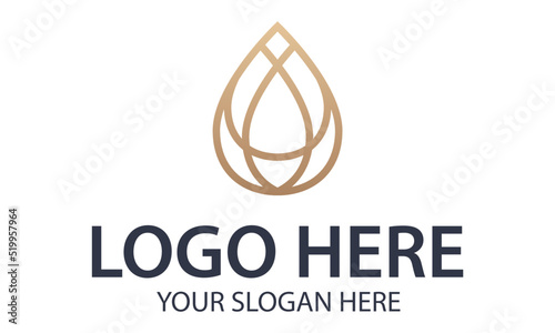 Luxury Color Line Art Water Drop Logo Design