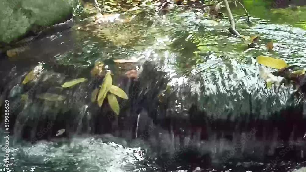 Environment ecology image of river stream-2