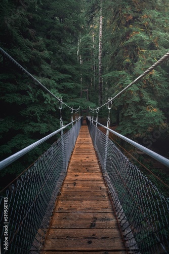 Canvastavla bridge in the woods