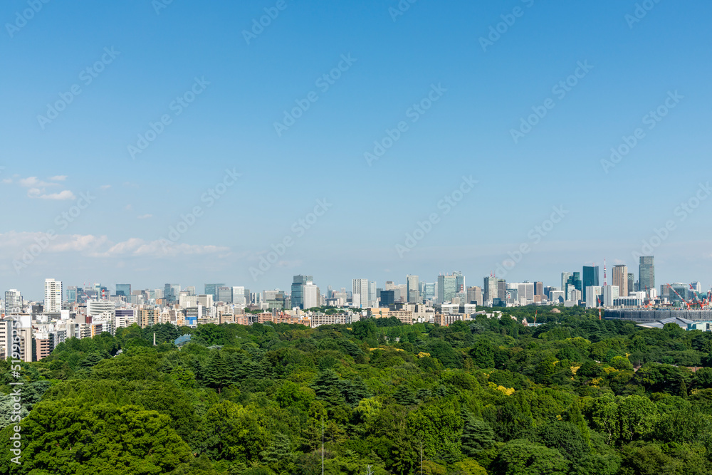 東京の緑と都市風景
