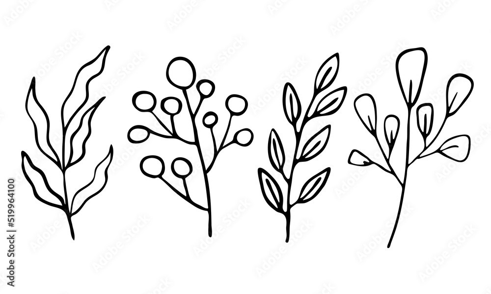 set of vector branches, herbs in Doodle style.hand-drawn illustration for packaging design