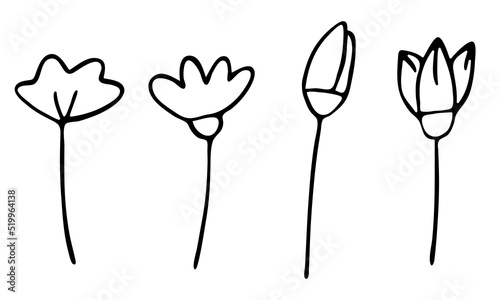 vector flowers and buds set in doodle style.hand-drawn black and white outline illustration.