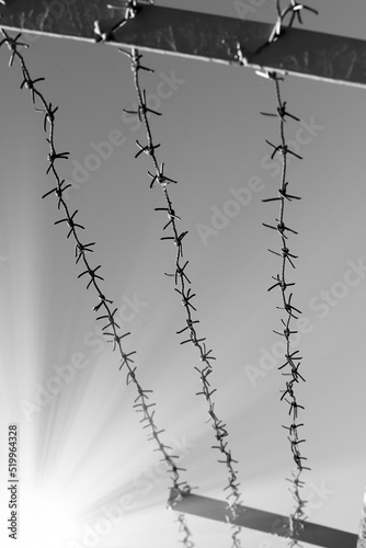 A strip of barbed cold wire in a perishable blue sky. Rays of the sun. Barbed wire fence. Prohibited zone, restriction of freedom.