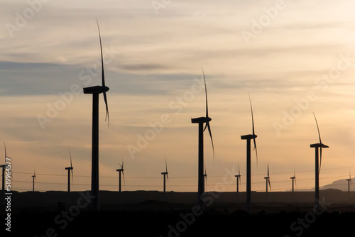 Rows of wind turbines generating renewable clean energy in Egypt