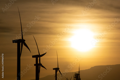 Silhouette of wind turbines during sunset in the desert in Egypt