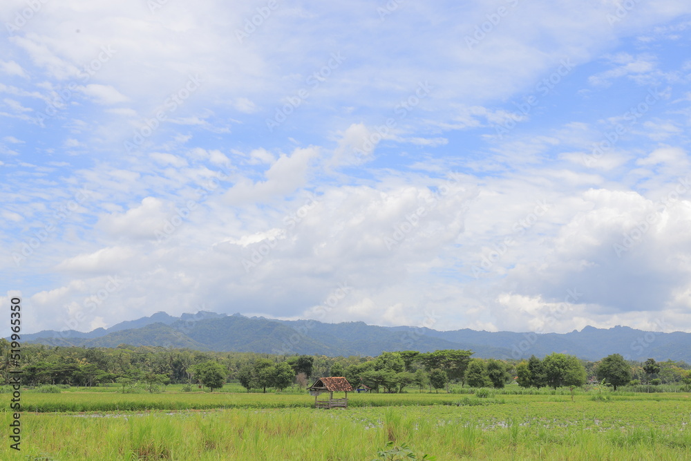 Beautiful view of green meadows, trees and mountains with white clouds in the blue sky. nature background