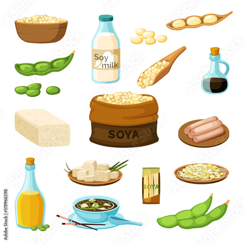 soya. vegetarian products from soya natural healthy food with protein. Vector cartoon illustrations