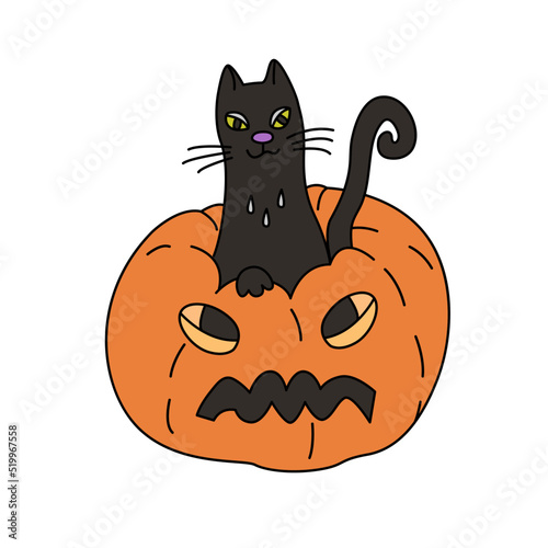 Vector hand drawn illustration of a black cat sitting in Jack O lantern.  reat for Halloween design.. photo