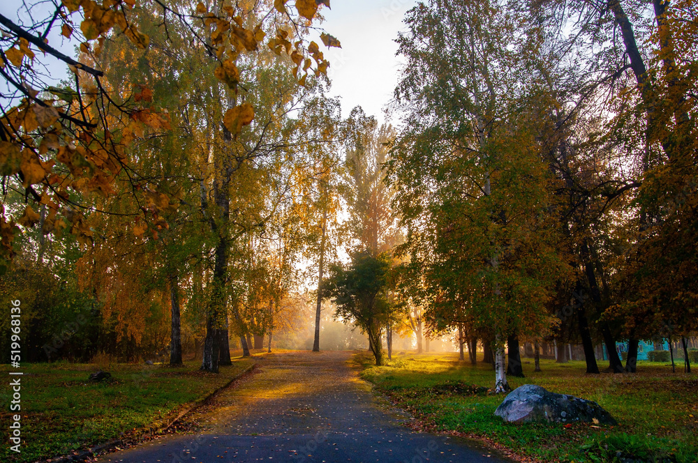 autumn landscape with a path in a public park
