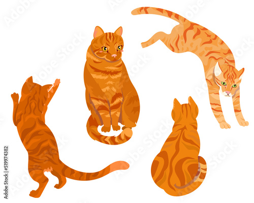Happy Ginger cats collection. Cats jumping and playing 