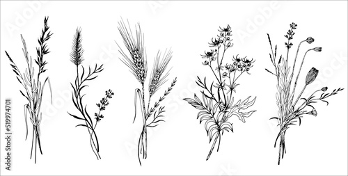 Set of wildflowers bouquets. Hand drawn black and white vector illustration.