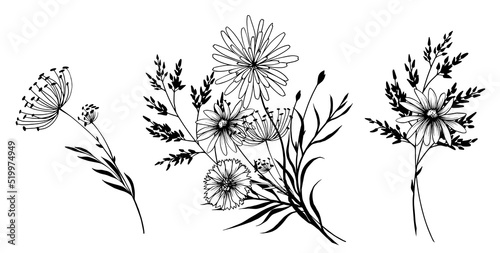 Set of black and white decorative wildflowers bouquets. Hand drawn vector illustration.