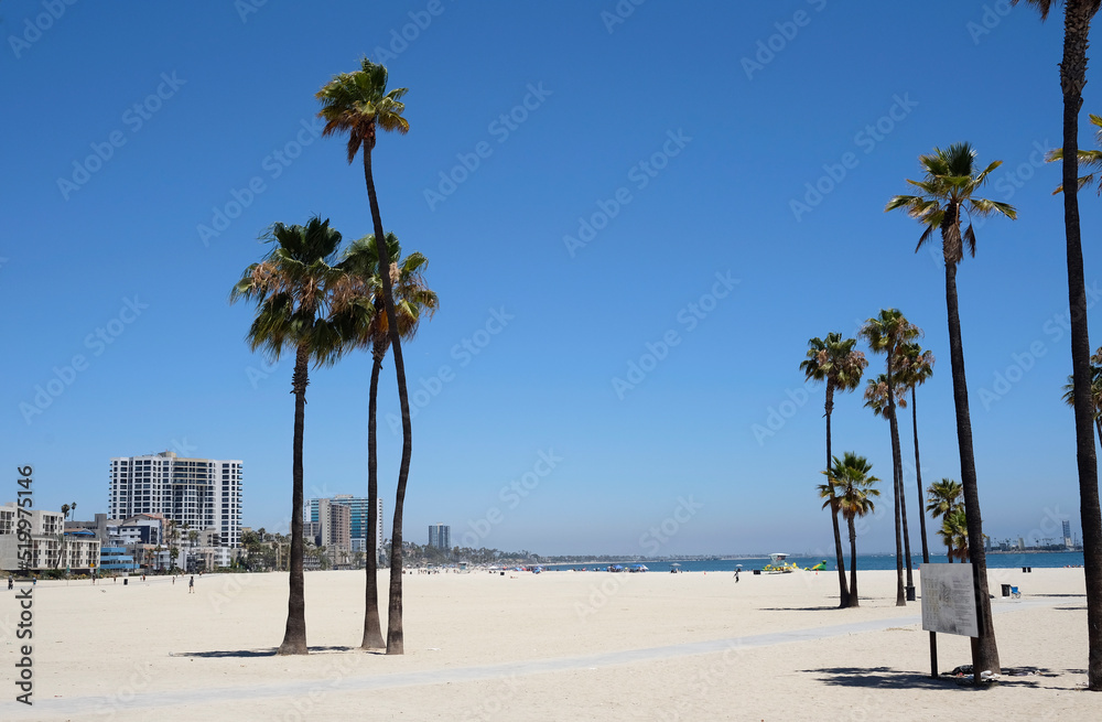Fototapeta premium Palm trees at Long Beach, Los Angeles, California