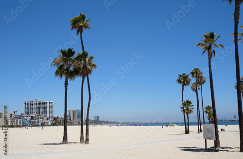 Palm trees at Long Beach, Los Angeles, California © lensw0rld
