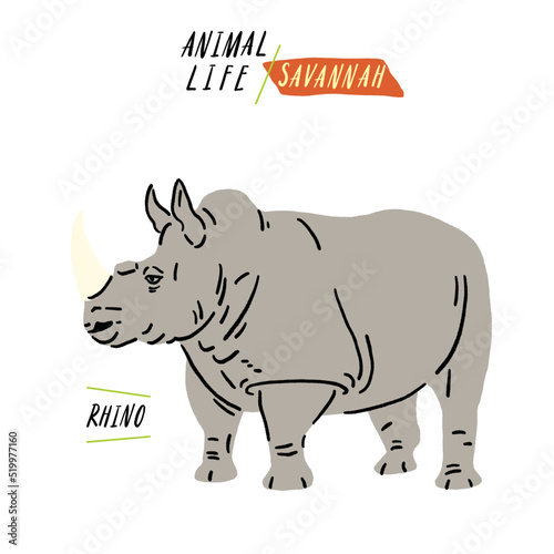 Rhinoceros Savannah Animal Life Hand drawn Cartoon color illustration