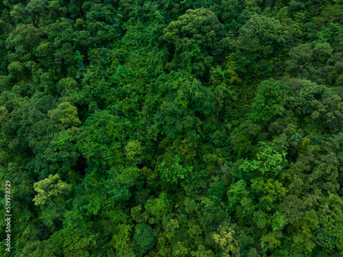 Aerial view of beautiful tropical forest mountain landscape