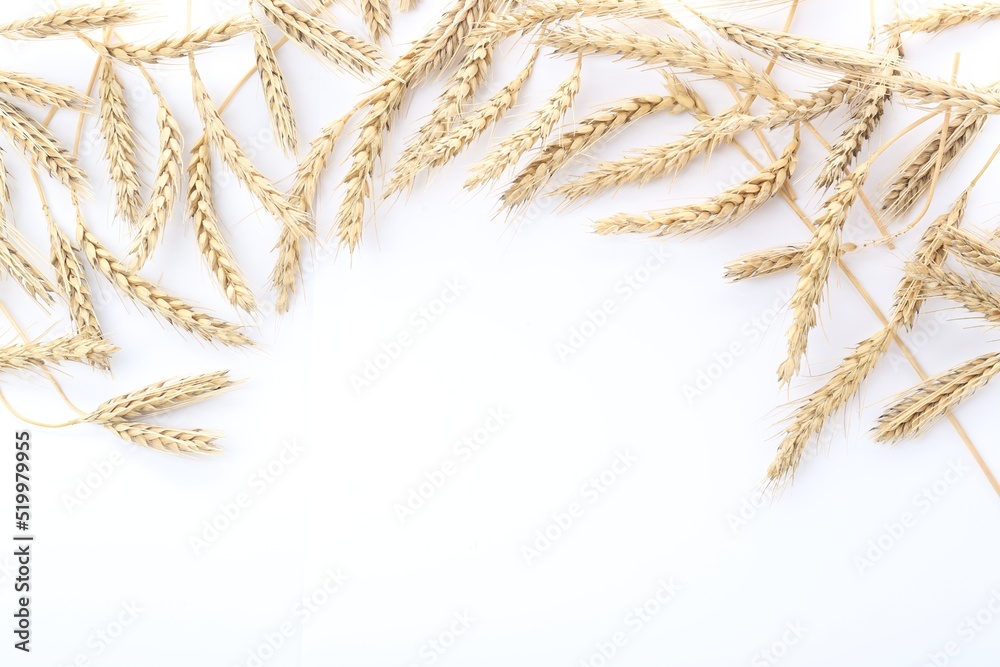 Many ears of wheat on white background, flat lay. Space for text Many ears of wheat on white background, flat lay. Space for text