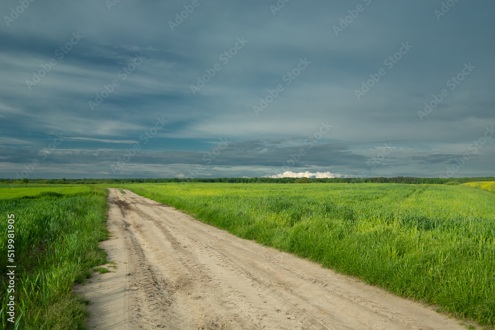 Sandy road through green fields and cloudy sky