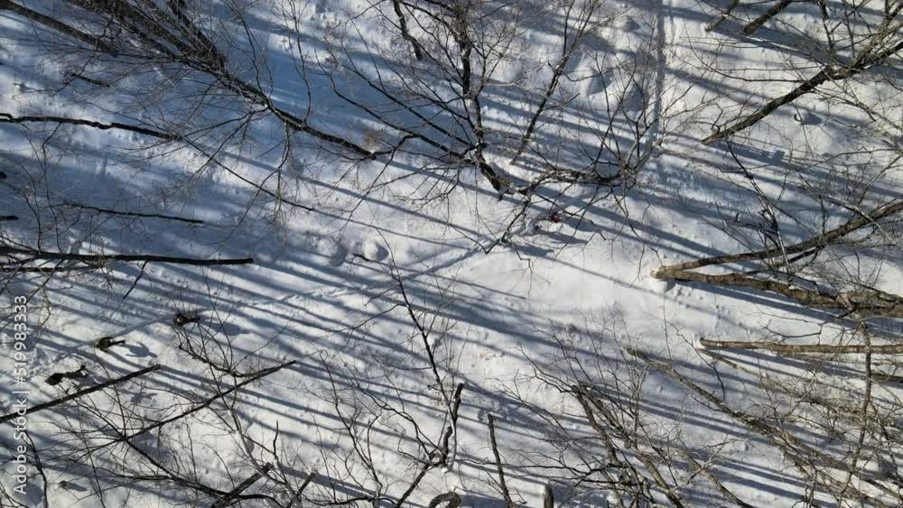 A group of people snow-shoe through the forest as seen from a drone above them. A group of people snow-shoe through the forest as seen from a drone above them.