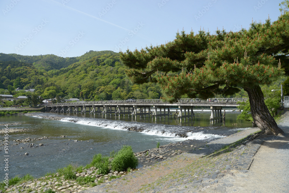 Fototapeta premium 嵐山渡月橋 京都市右京区