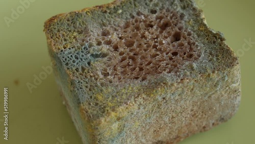 Spoiled food concept. Close-up view 4k stock video footage of old spoiled bread with growth of colorful mold on its surface photo