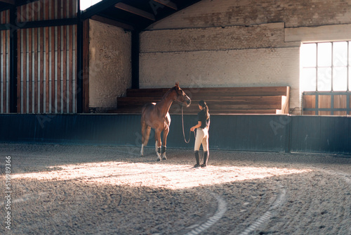 Fotografija indoors education and training of horse at equine farm center - female instructo