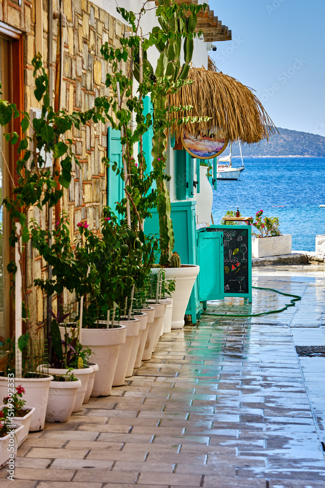 Fototapeta premium Colorful streets with white houses and curly flowers in Bodrum