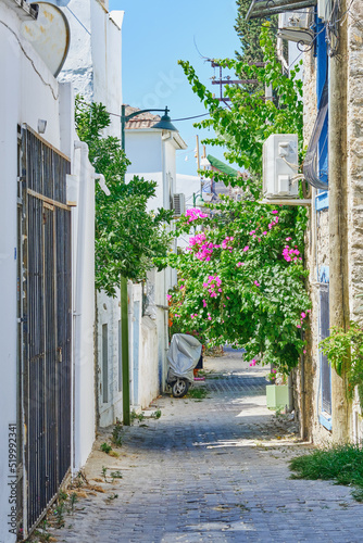 Colorful streets with white houses and curly flowers in Bodrum