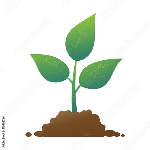 Planting sprouts. Seedling icon vector illustration isolated on white background.