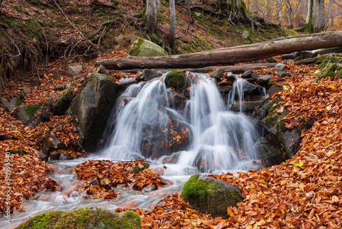 Fototapeta Naklejka Na Ścianę i Meble -  Waterfall in a beech forest in autumn. Eastern Carpathians.