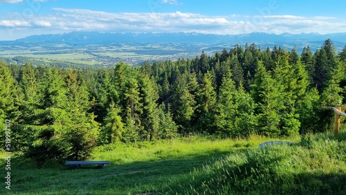 landscape with trees and Polish Tatra mountains