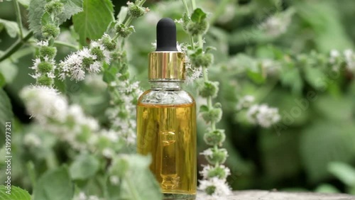 Dropper bottle with mint oil on a tree stump. Essential oil, collagen serum for beauty. Cosmetics with natural ingredients. Selective focus