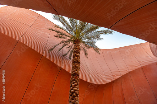 Palm tree in concrete structure in Masdar city, Abu Dhabi, UAE