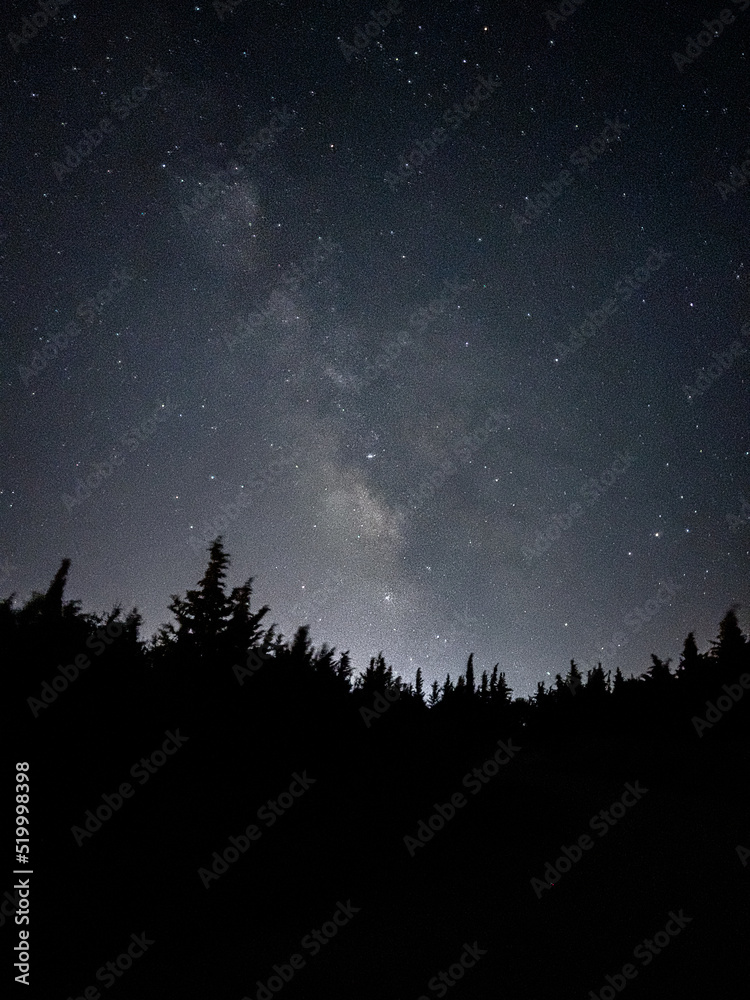 Milky way galaxy shot in the forest at night
