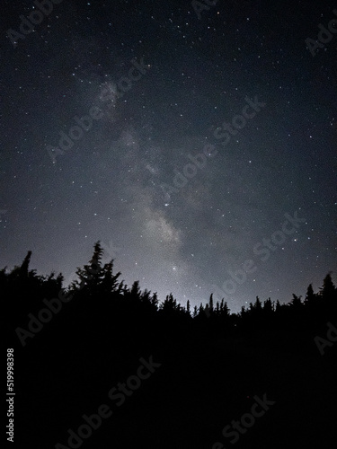 Milky way galaxy shot in the forest at night