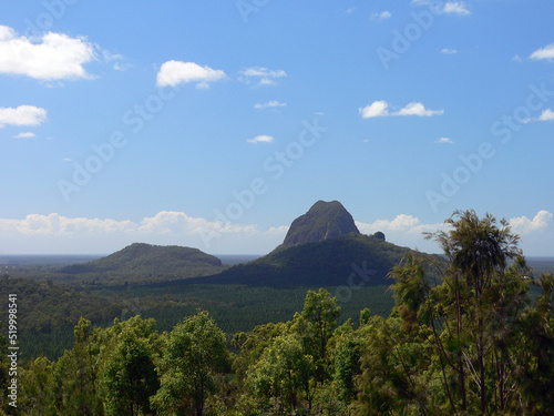 Glasshouse Mountains with trees on the Sunshine Coast in Queensland  Australia